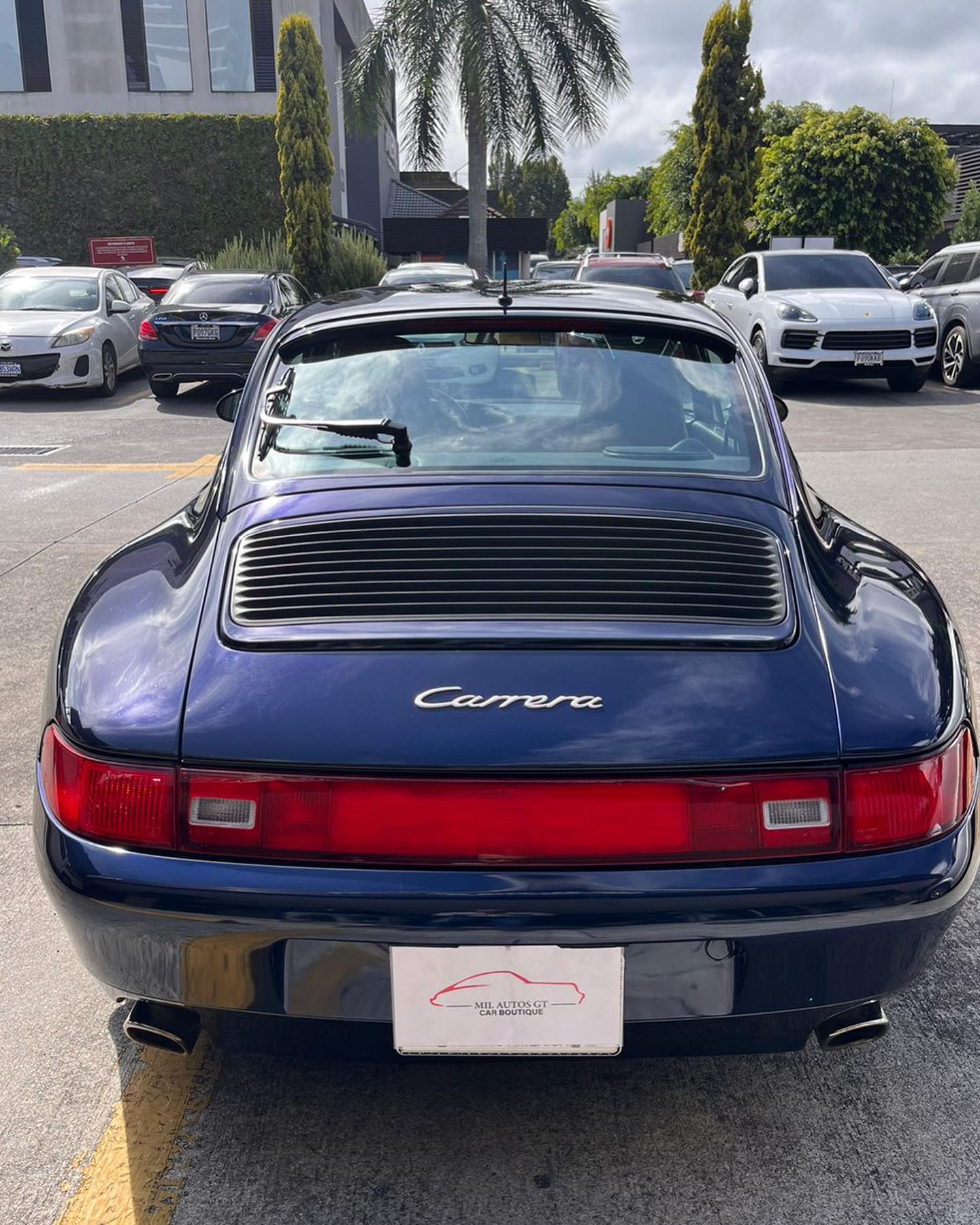 PorscheCarrera993 (12)