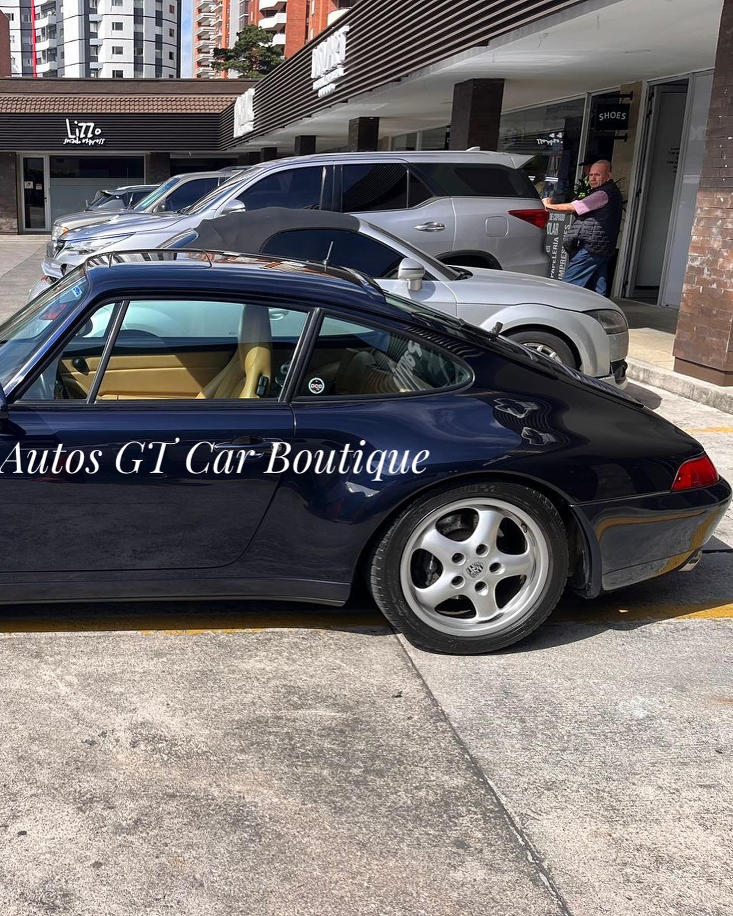 PorscheCarrera993 (14)