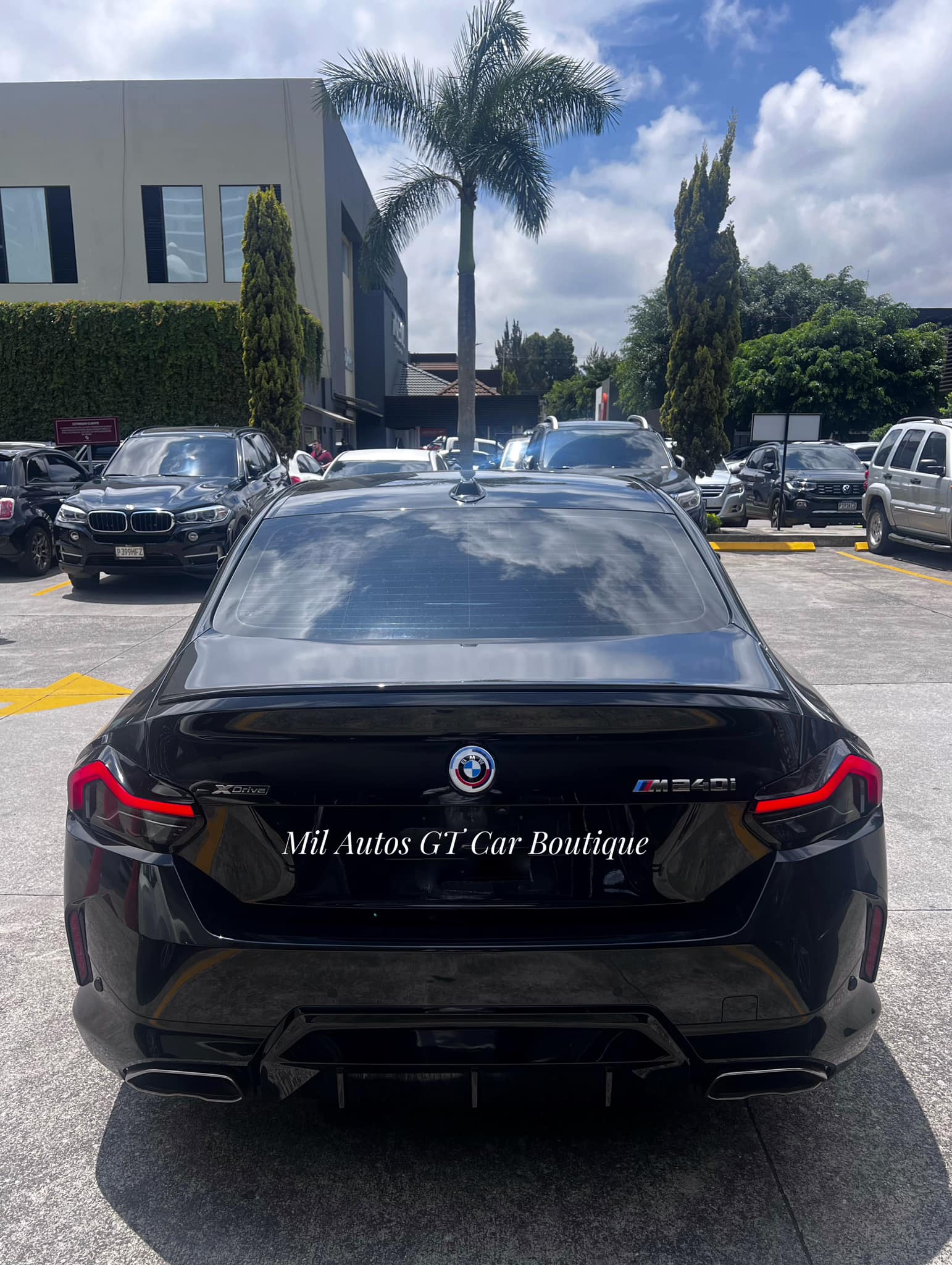 BMW (16)