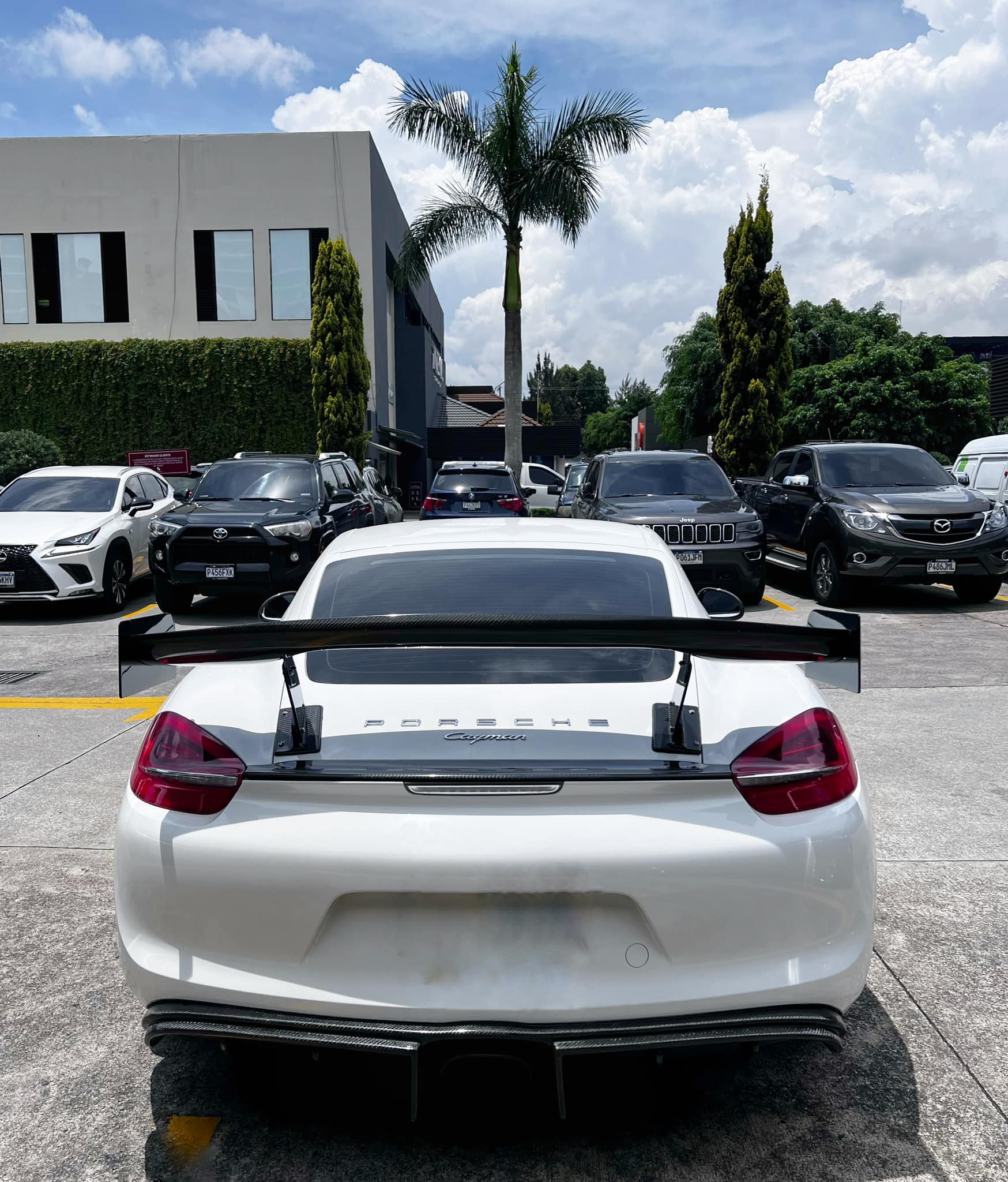 Porsche Cayman (12)