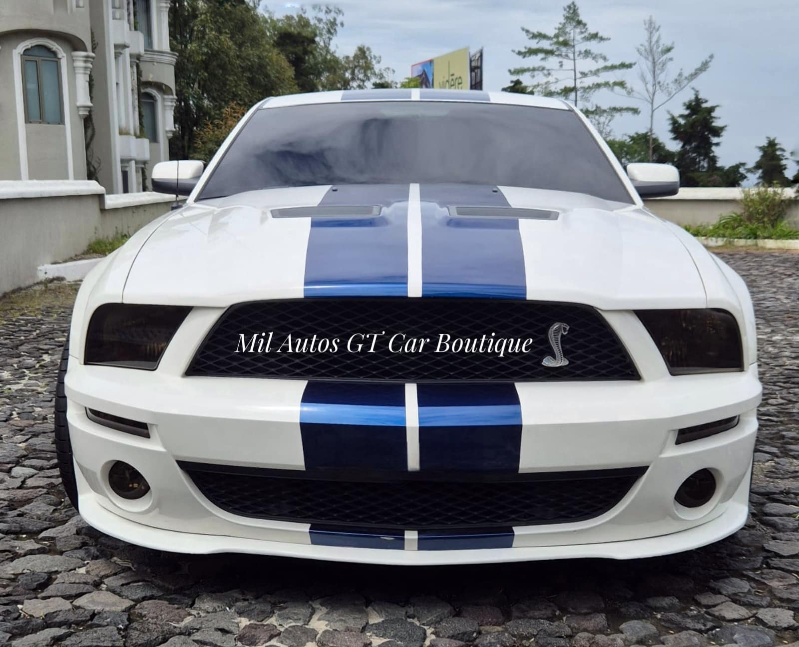 Ford Mustang Shelby Cobra GT 500