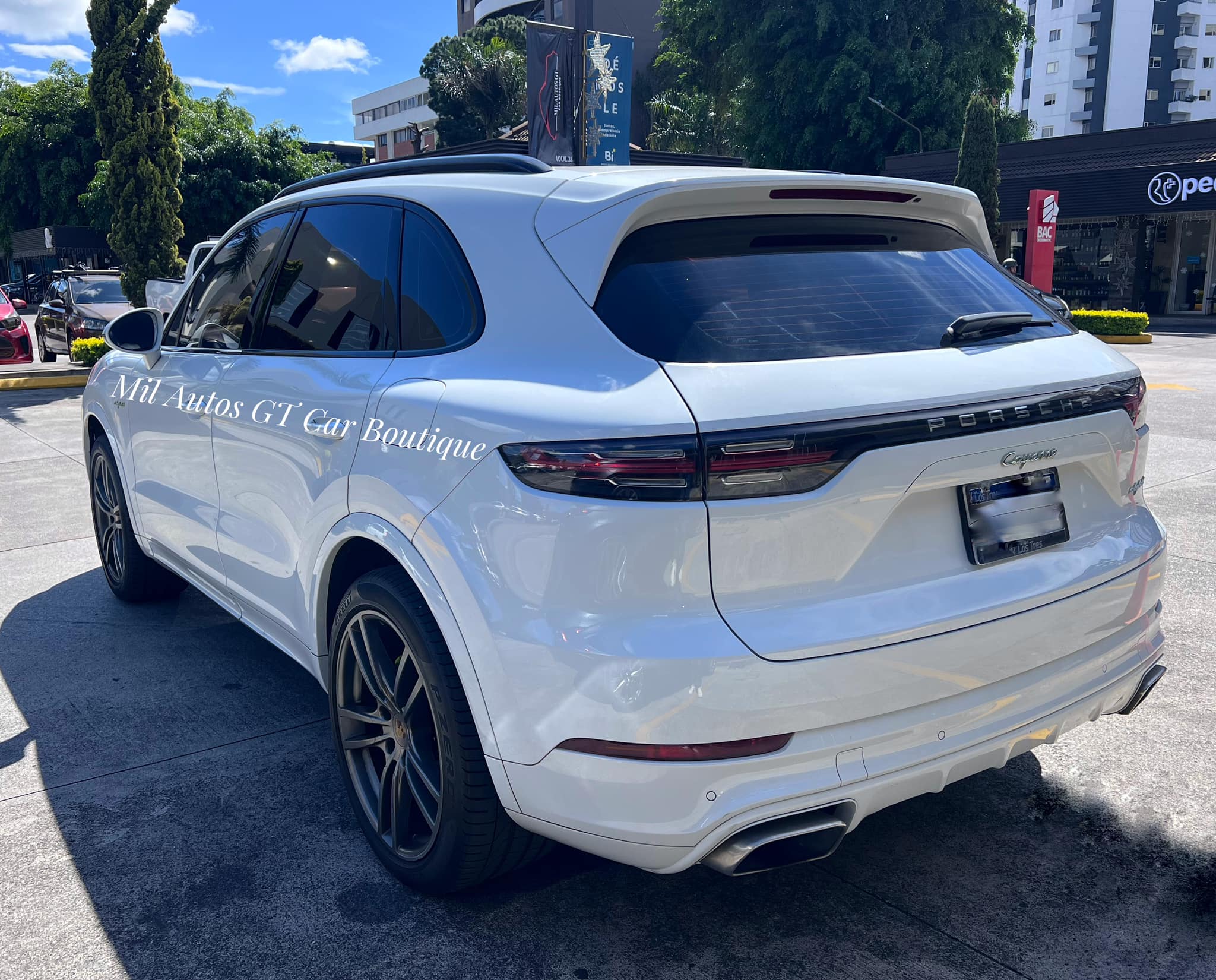 porsche cayenne (4)